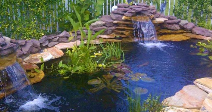 Landscaping Service & Landscape Design in Port St Lucie, Stuart ...